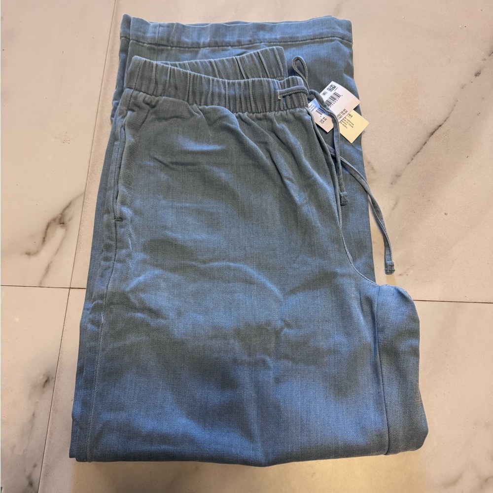 American Eagle Outfitters Slate Blue Joggers